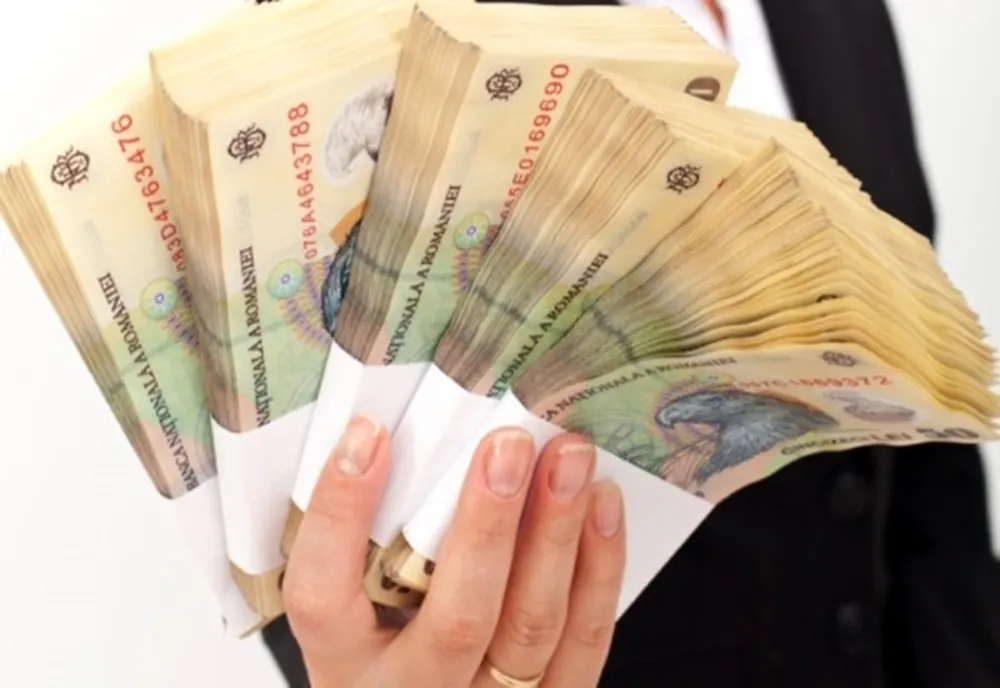 Ministrul Economiei anunță fonduri europene de un miliard euro pentru persoane fizice autorizate şi microîntreprinderi