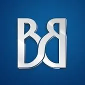 bvb logo