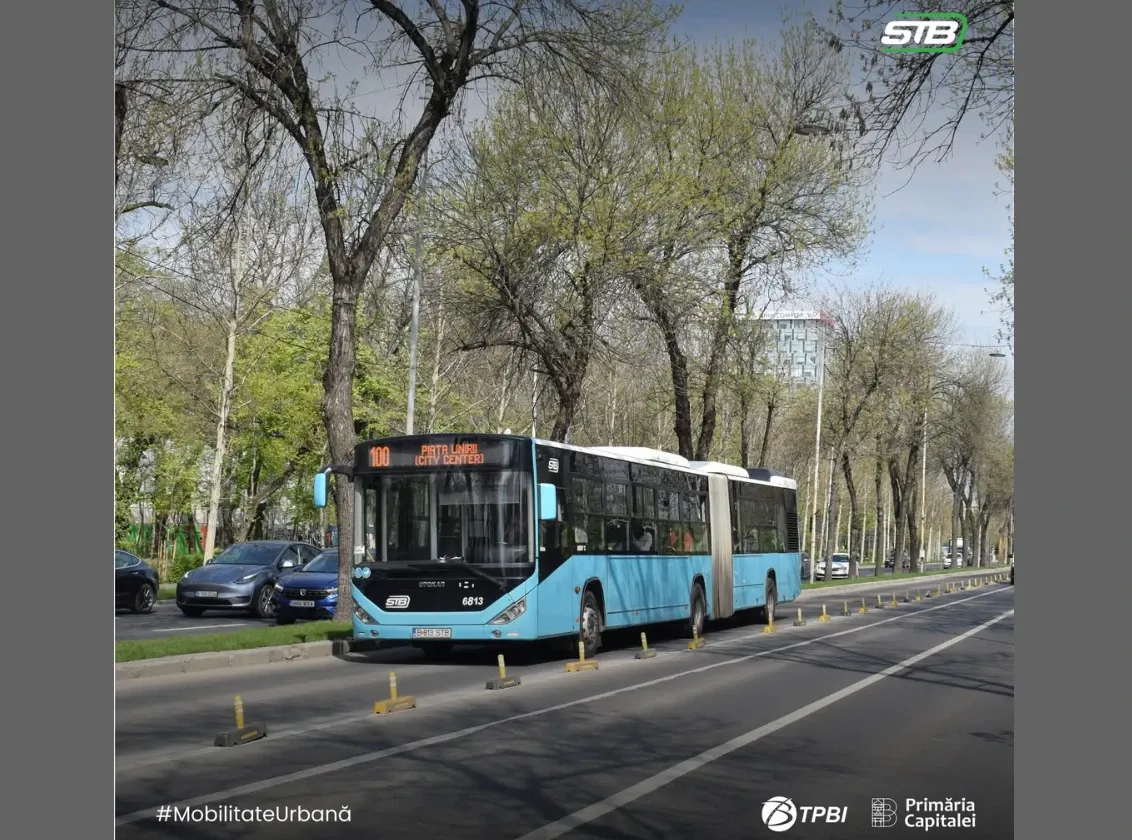 Insolvență STB