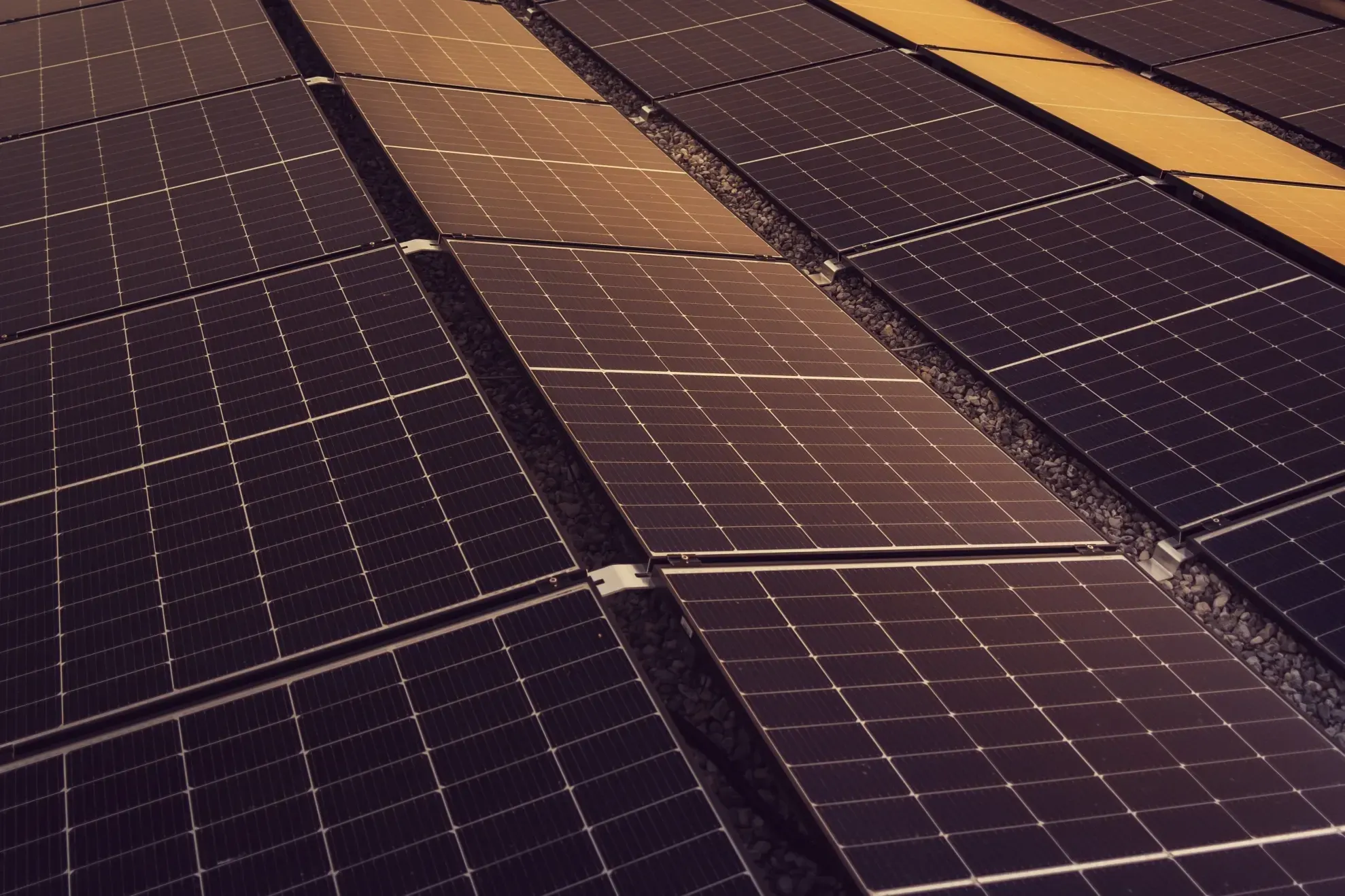Parc solar în Bulgaria (Profimedia)