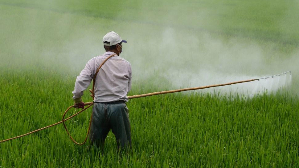 Pesticide
