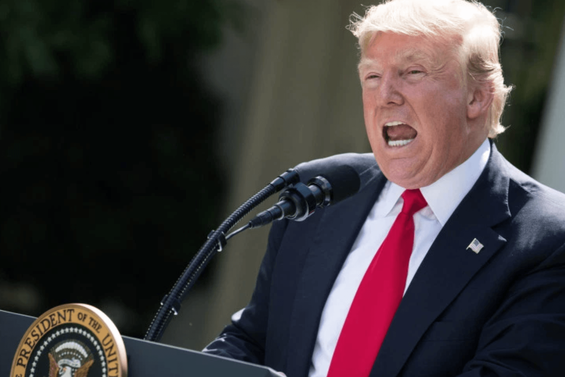 Trump Google 28 August 2018