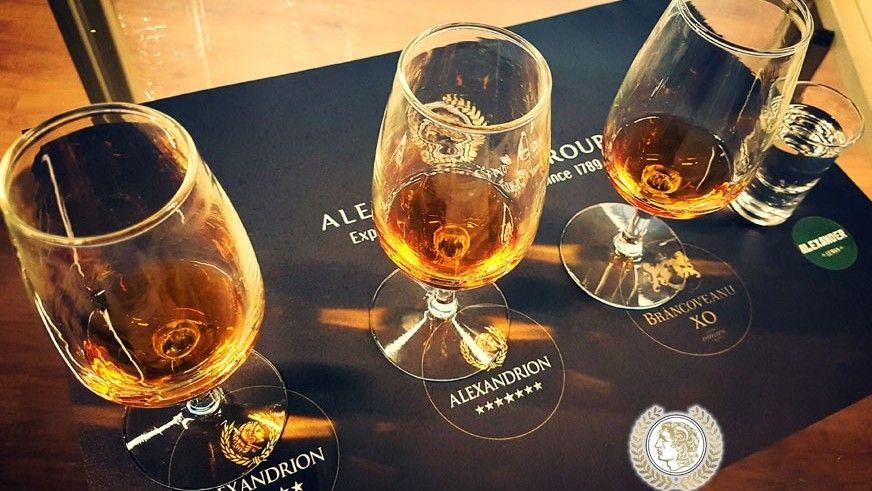 alexandrion_group_84763200