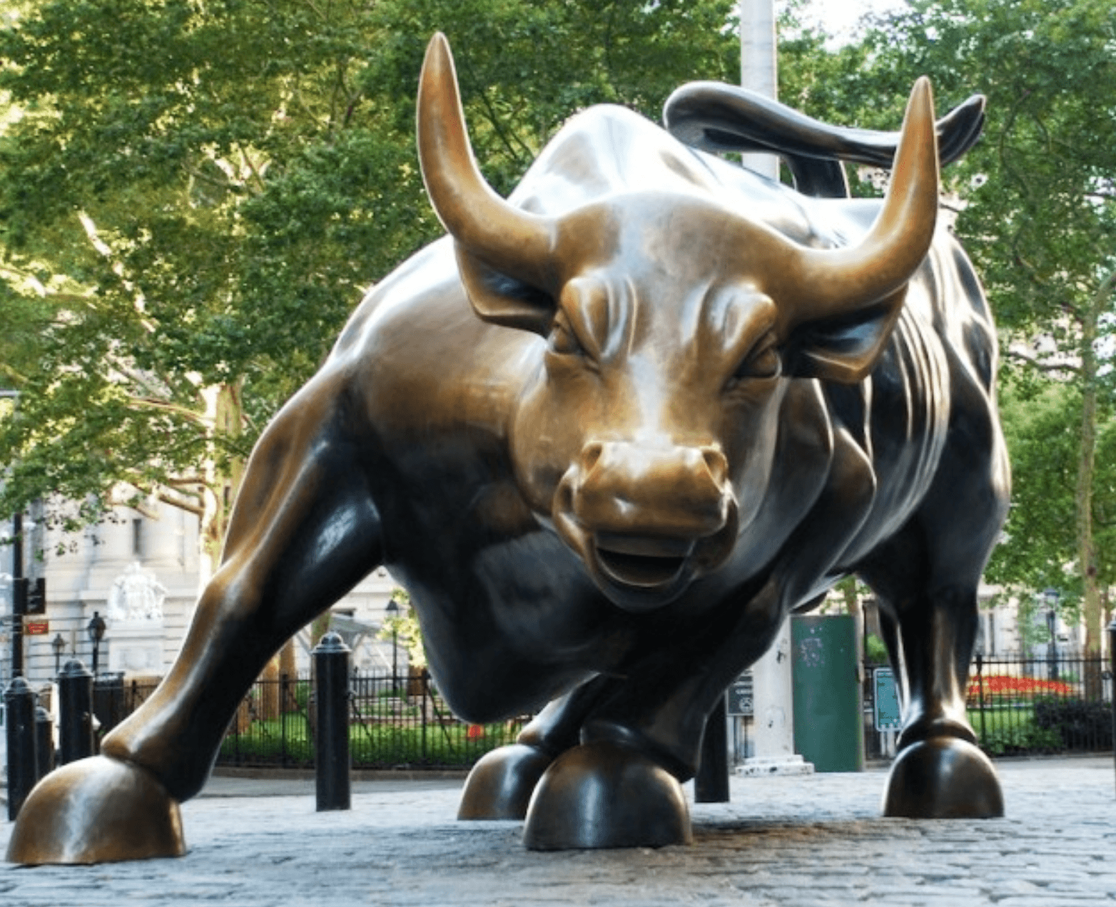 BVB 11 Septembrie 2018