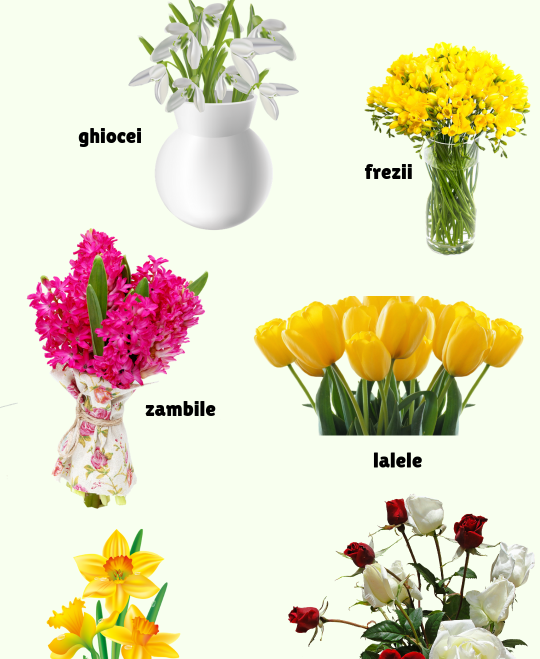 FLORILE PREFERATE DE ROMÂNI