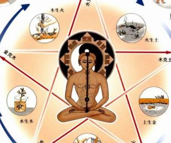 TraditionalChineseMedicine-1014x487