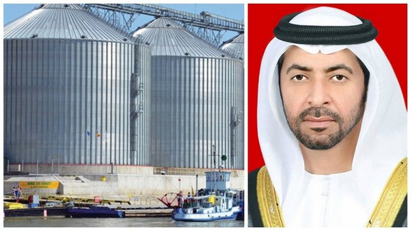 al dahra insula brailei