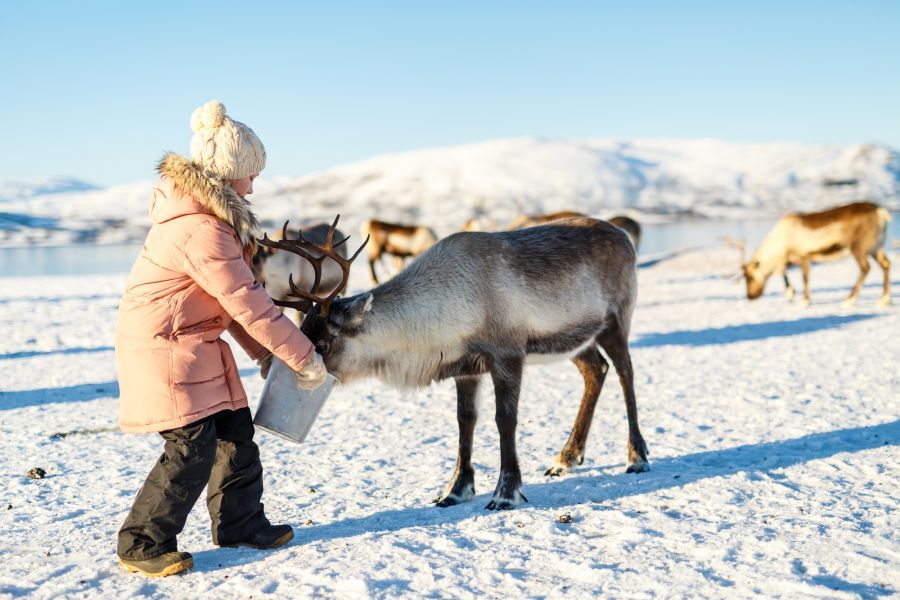 vacante-craciun-laponia_j9sg