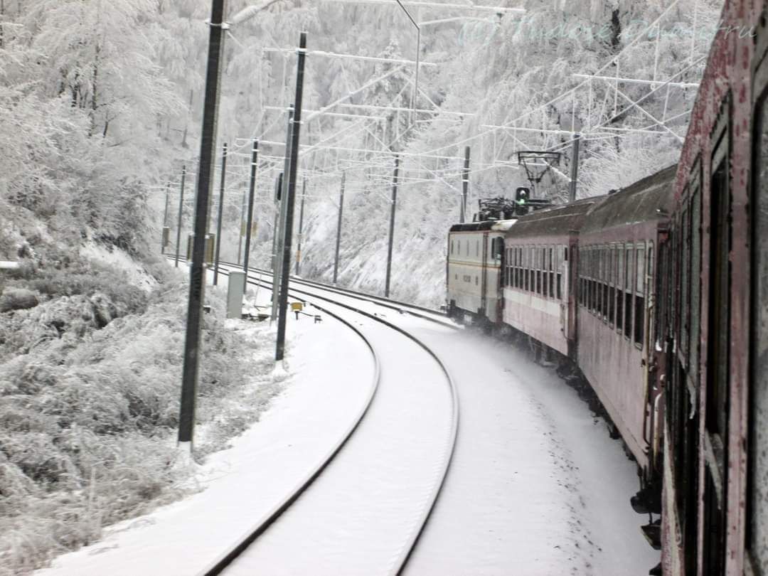 556320006_1315317570238794_1632902497852102895_n