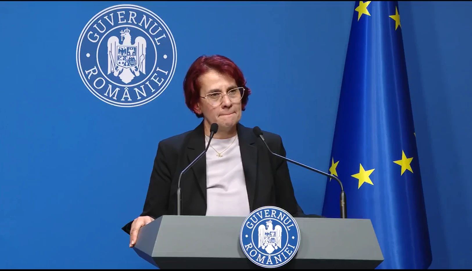 Ioana Ene Dogioiu, purtător de cuvânt al Guvernului