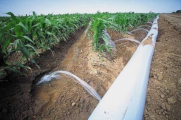 Vizită de lucru în Vrancea. A fost reinaugurată o stație de irigații, avariată după punerea în funcțiune timpul Guvernului Năstase