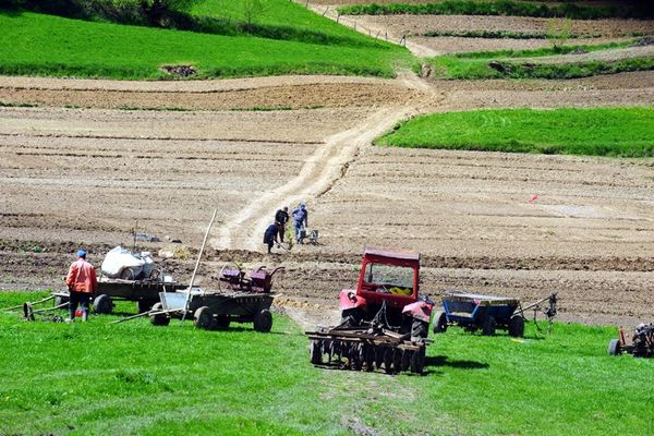 Agricultura a atras cele mai puține investiții în 2018, doar 5,9%