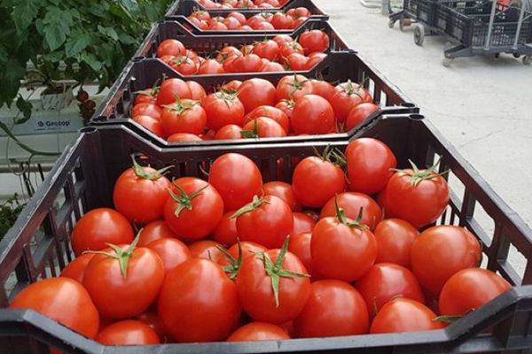 Blocatul drum al legumei românești către hypermarket