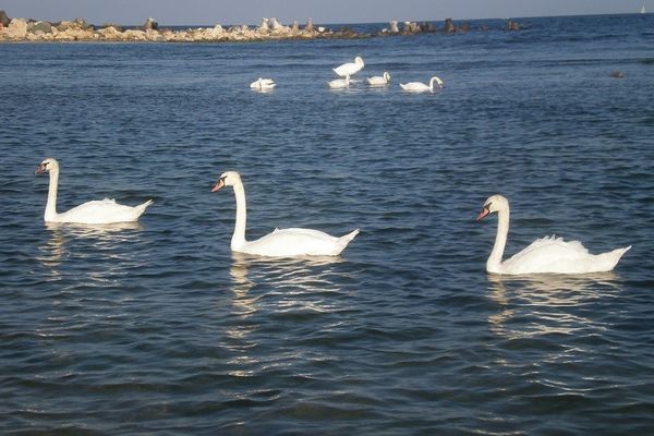 Destinația externă preferată de turiștii români. Nu e Grecia