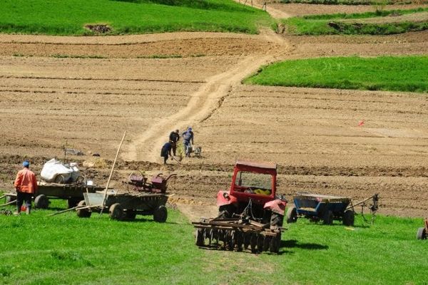 De ce sunt la mare cautare lucratorii romani in Germania cand sute de mii de germani sunt in somaj tehnic!