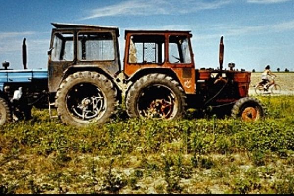 De ce tinerii fermieri nu prind ”rădăcini” în agricultura României