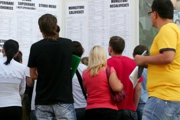 Apar zece meserii noi, propunerea a fost pusă în dezbatere publică