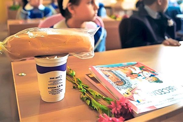 ”Laptele și cornul”, licitații trucate suspectate de Consiliul Concurenței