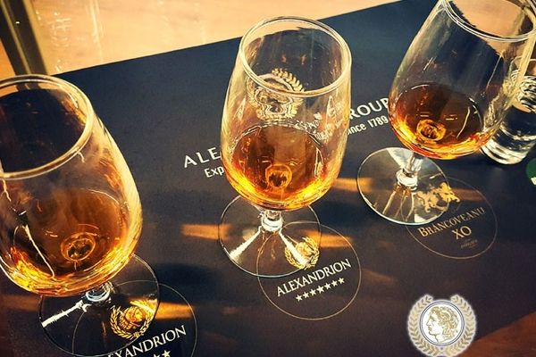 Grupul Alexandrion a primit avizul pentru construirea unei distilerii la Carmel, New York