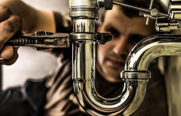 Bumerangul Brexit. "Cine mai muncește în spitale și întreprinderi?"