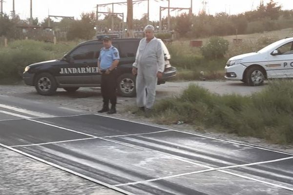 Comerțul en-gross a scăzut cu 1,1%, în iulie