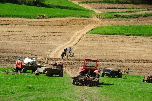 Guvernul majorează fondurile pentru Agenția de Plăți în Agricultură