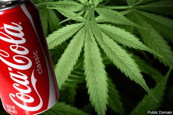 Coca Cola cu cannabis, proiect al îmbuteliatorului de soft drink