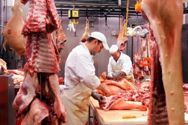 Pesta porcină africană îngroașă rândurile șomerilor