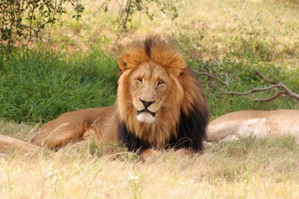 Cel mai slab leu din ultimele două săptămâni, la BNR