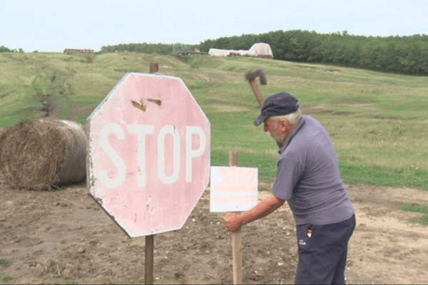 Schemă de ajutor de stat de 80 milioane euro pentru pagubele pestei porcine