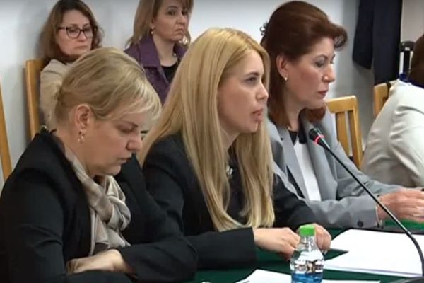 Mihaela Triculescu a venit cu "lecţía învăţată" în faţa parlamentarilor