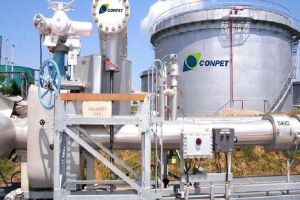 Moştenitoarea imperiului Dedeman, renunţă la mandatul de administrator al Conpet