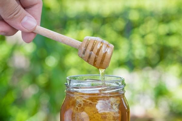 Apicultorii critică importul masiv de miere din Ucraina: „Îi salvăm pe ei, ne distrugem noi!”