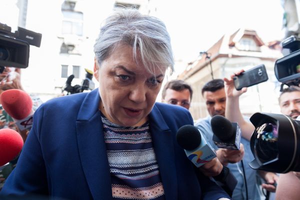 Ministerul Economie nu o mai vrea pe Sevil Shhaiden în CA OMV-Petrom