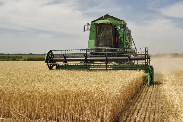 APIA | Începe campania de depunere a Cererilor Unice de Plată pentru anul 2020