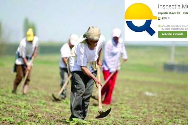 De sămbătă intră în vigoare registrul electronic pentru zilieri și sezonieri