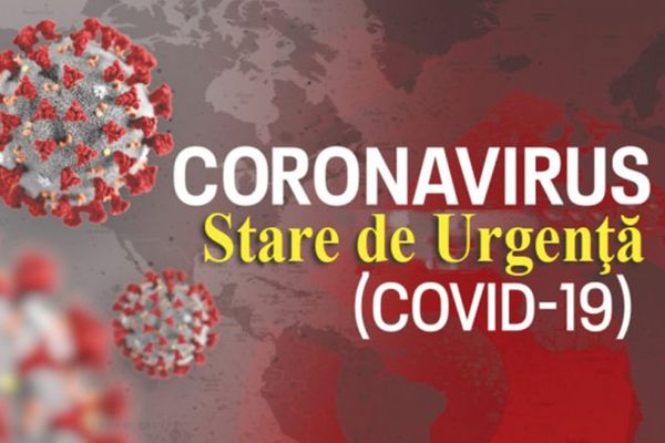 Curtea de Conturi: Prejudiciu sub 1% la plățile sociale din timpul stării de urgență