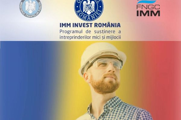 Guvernul a deschis tolba pentru IMM-uri înainte de alegeri