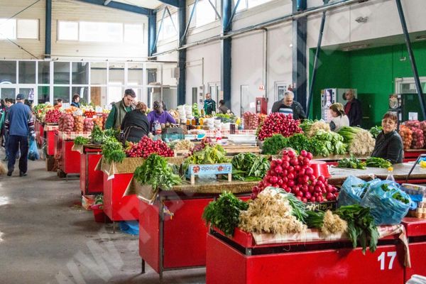 Revolta producătorilor agricoli români. Sunt lăsați fără lumină la tarabe, iar taxele sunt imense VIDEO