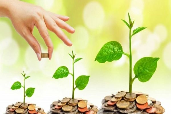 Educația financiară, „un maraton care trebuie continuat de mai multe generații“