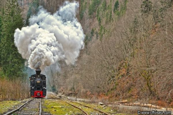 Unde au ales românii să își petreacă Sărbătorile de iarnă în acest an