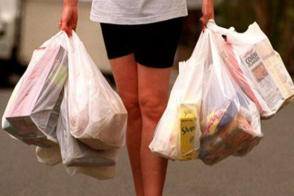 Lidl introduce taxa pe pungă la raioanele de fructe și legume