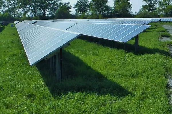 Petrișor Peiu: Cât de verde este România?