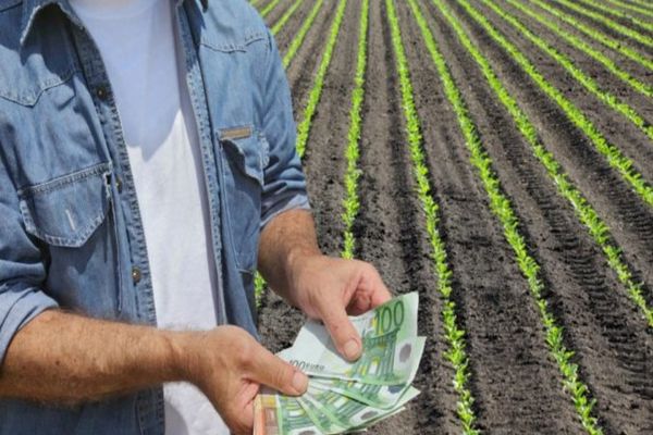 APIA a demarat autorizarea la plată a Ajutoarelor Naționale Tranzitorii aferente Campaniei 2020