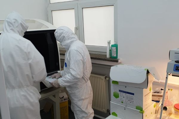 Afaceri în pandemie. Cât costă testele Covid comercializate în România și cum au evoluat prețurile