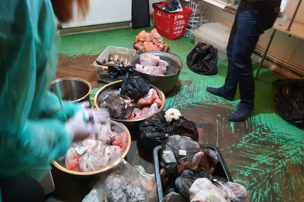 Alimentele contaminate OMOARĂ anual 420.000 de oameni - apel la responsabilitate făcut de OMS