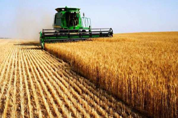 România, VÂNDUTĂ la bucată străinilor: Revolta fermierilor români care nu pot cumpăra pământ