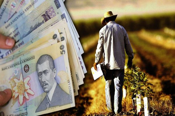 Ministerul Muncii: Persoanele fizice pot angaja şi plăti legal personal pentru activităţi casnice