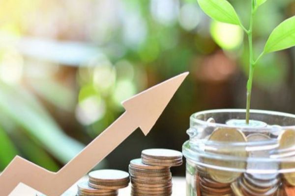 LECȚII de Educație Financiară pentru politicieni - Cum am putea folosi scumpirile în avantajul nostru