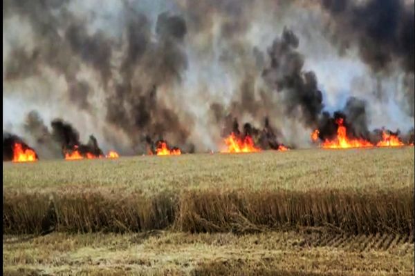 Incendiile de vegetație afectează în continuare culturile din județul Timiș, dar și circulația feroviară